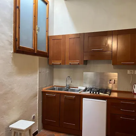 6tv1 * Флоренция